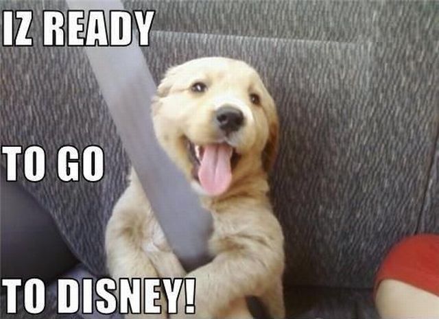 Morning Picdump