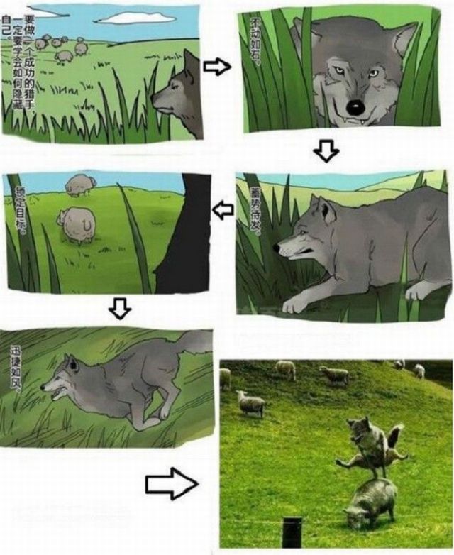 Morning Picdump