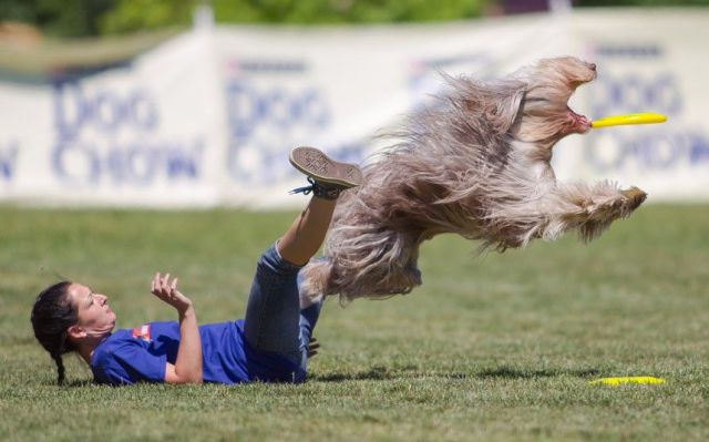 Daily Picdump