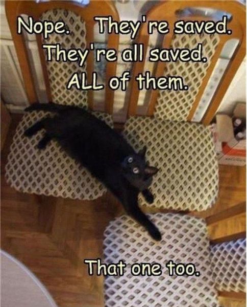 Morning Picdump
