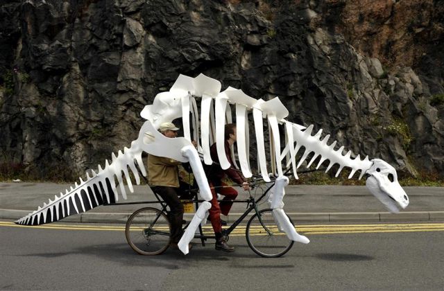 Morning Picdump