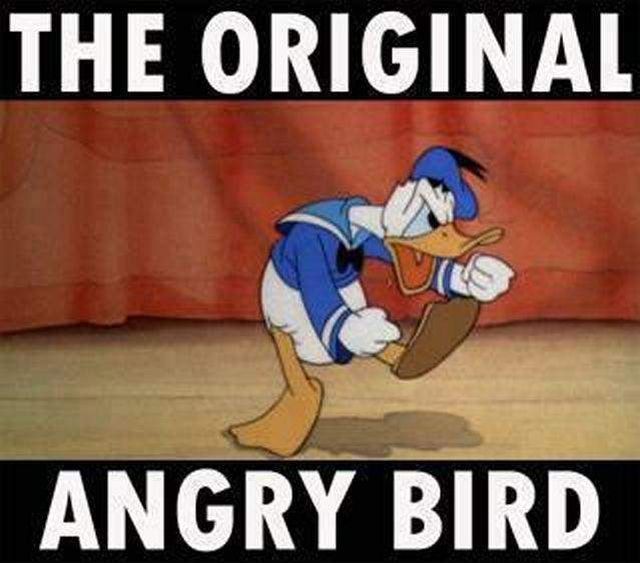Morning Picdump