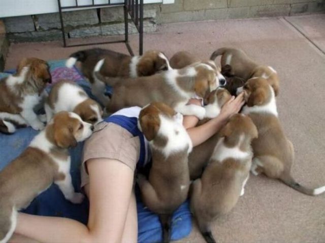 Morning Picdump