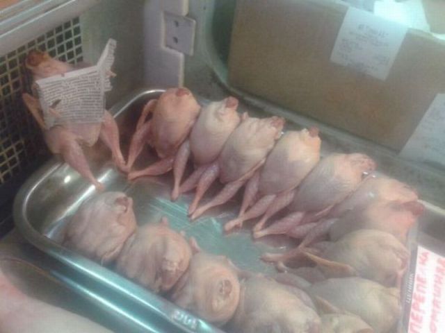 Morning Picdump