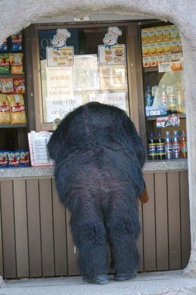 Morning Picdump