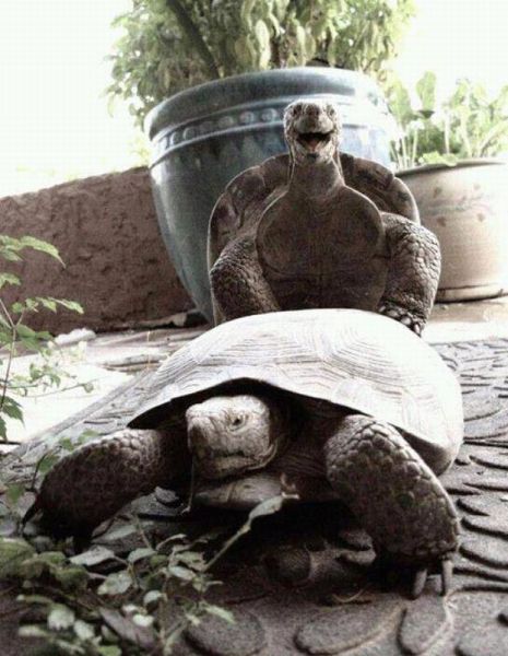 Morning Picdump