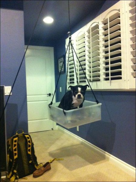 Morning Picdump