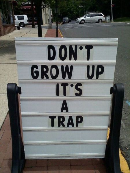 Morning Picdump