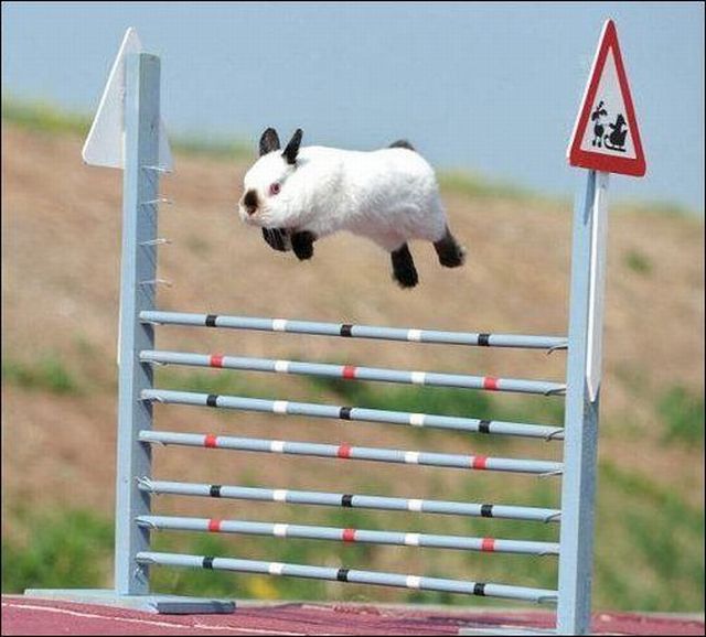 Morning Picdump