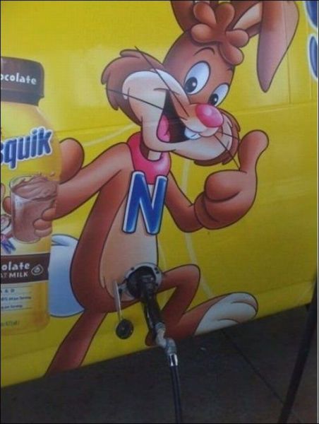 Morning Picdump