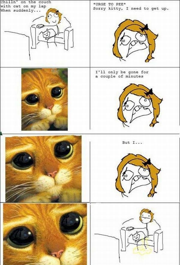 Morning Picdump