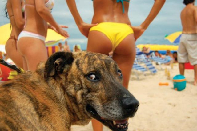 The Most Ridiculous Bikini Photos Ever