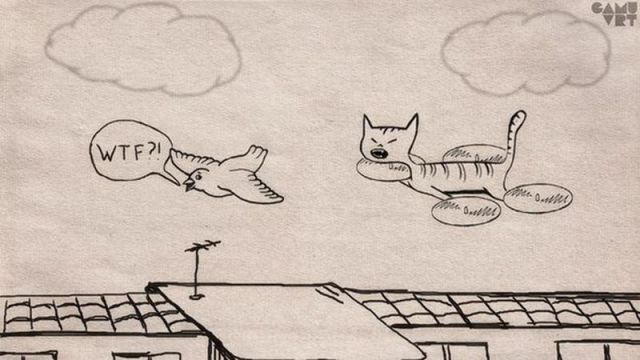 Morning Picdump