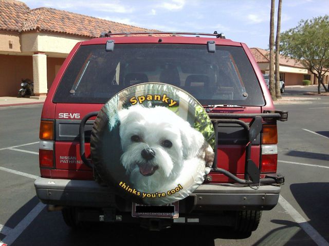 Morning Picdump
