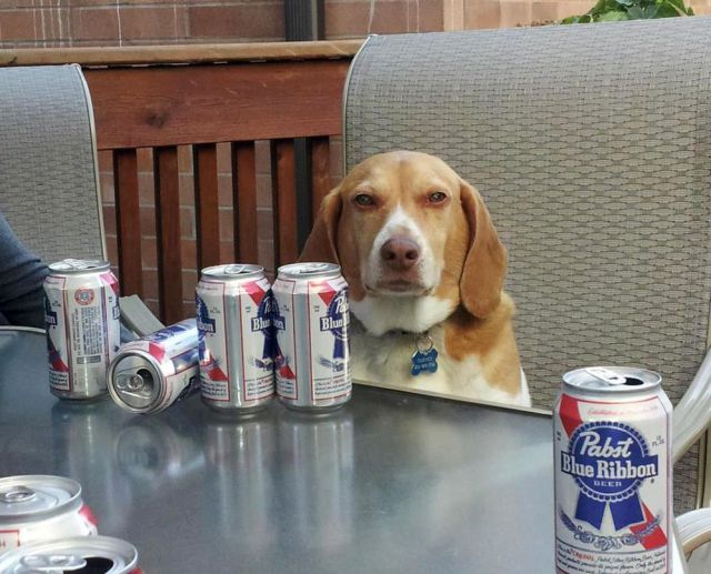 Morning Picdump