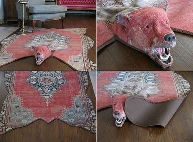 Morning Picdump