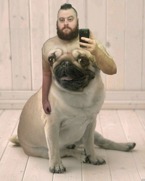 Morning Picdump