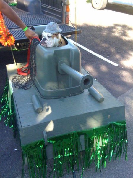 Morning Picdump