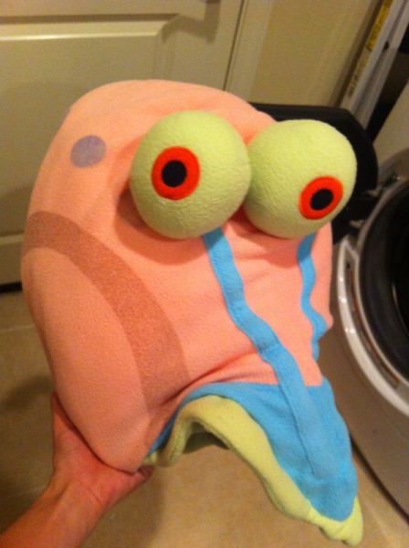 Morning Picdump