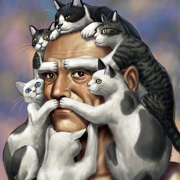 Morning Picdump