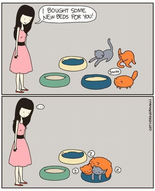 Morning Picdump