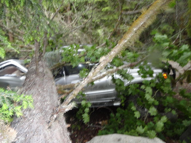 Couple�s Truck Crunched By Nature