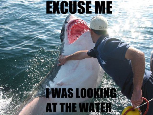 This Is Why Beaches Suck