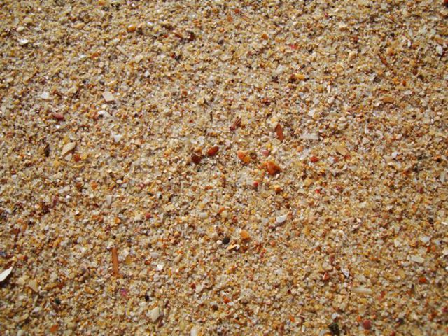 This Is Why Beaches Suck