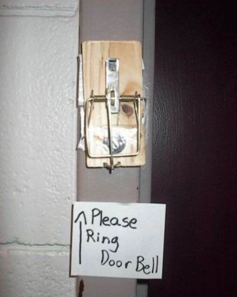 Daily Picdump