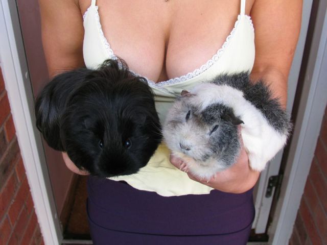 Daily Picdump