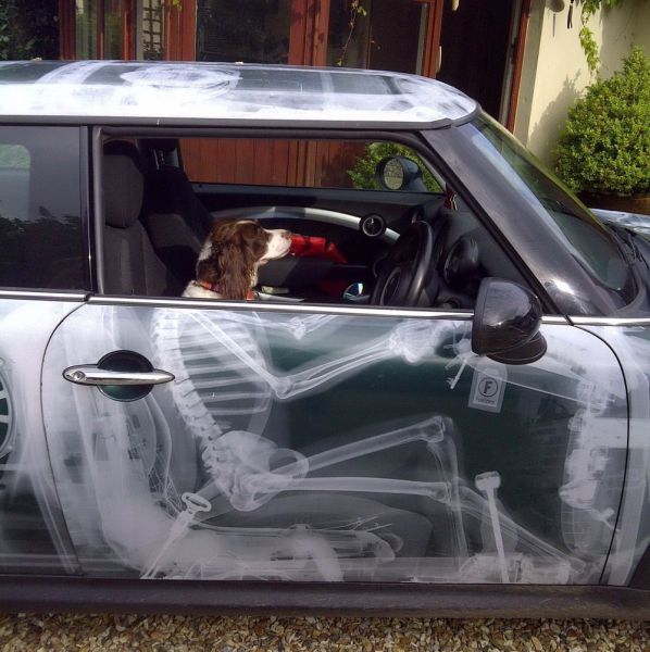 Daily Picdump