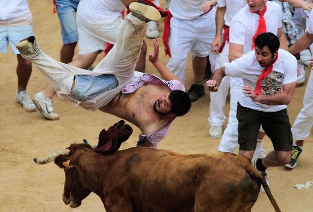Daily Picdump