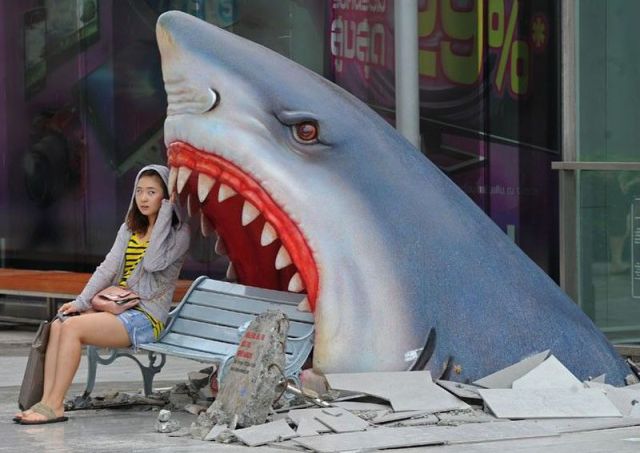 Daily Picdump
