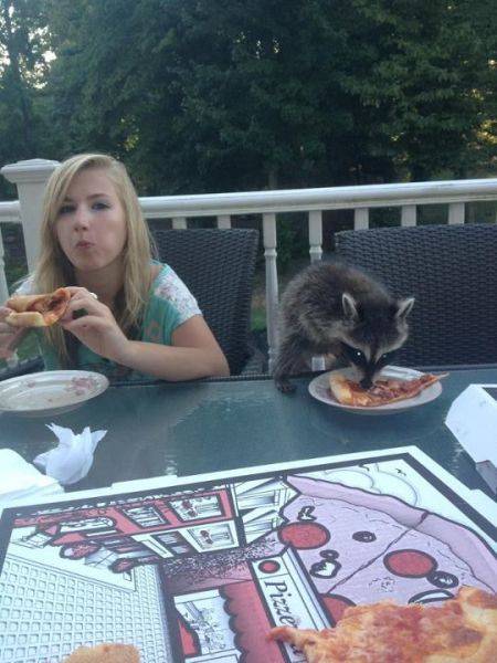 Daily Picdump