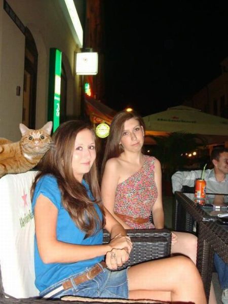 Daily Picdump