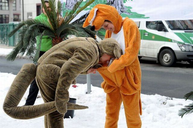 Daily Picdump