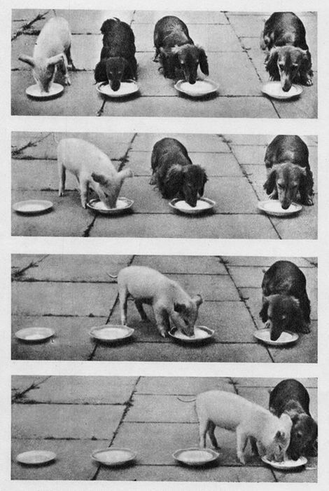 Daily Picdump