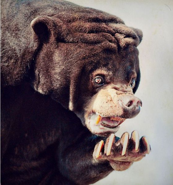 Morning Picdump