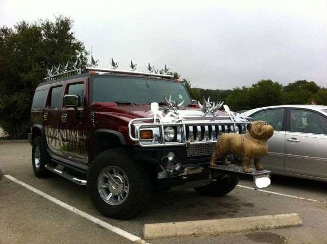 Morning Picdump