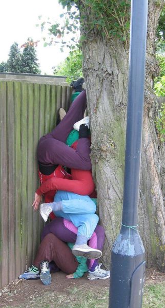 Morning Picdump