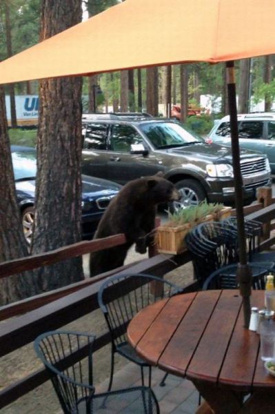 Morning Picdump