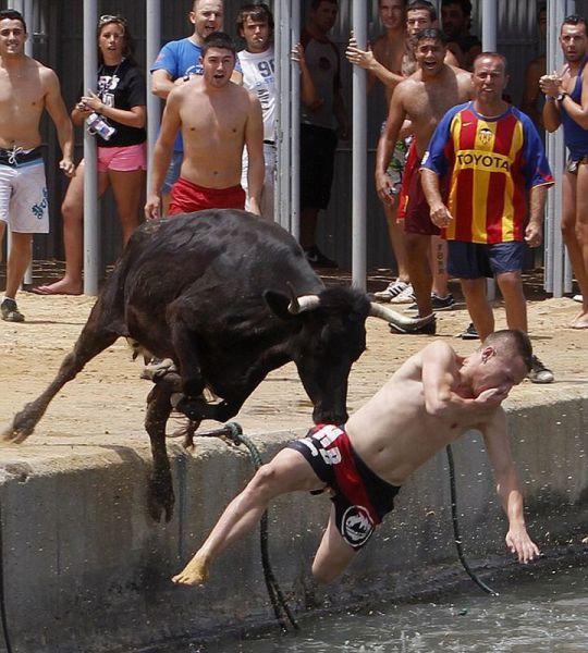 Morning Picdump