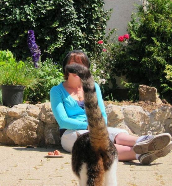 Morning Picdump