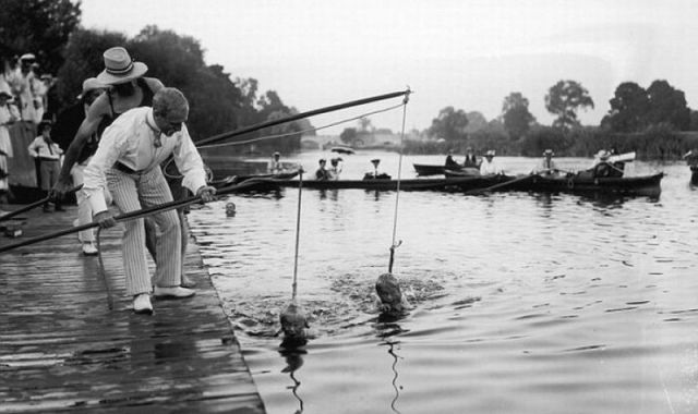 Morning Picdump
