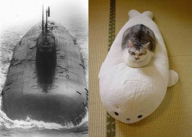 Morning Picdump