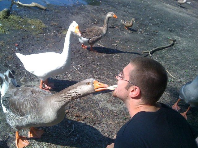 Morning Picdump