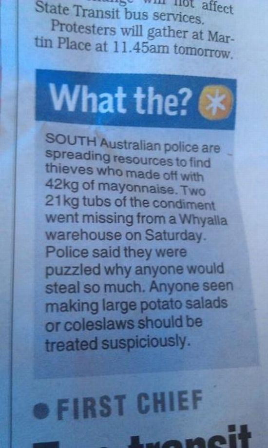 Morning Picdump