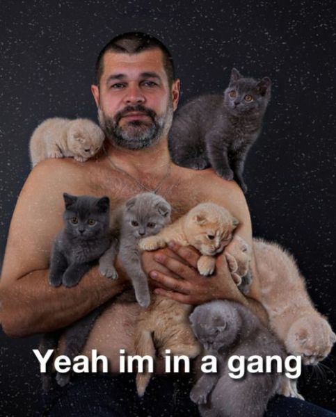 Daily Picdump