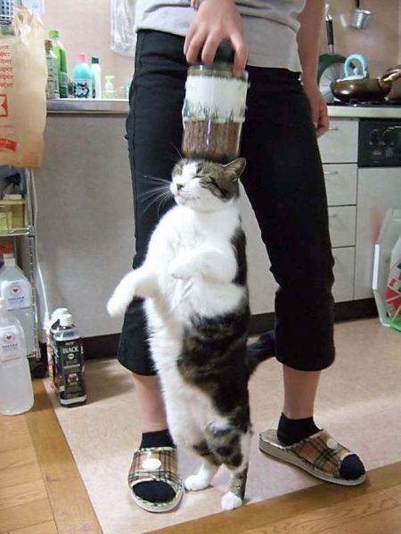 Daily Picdump