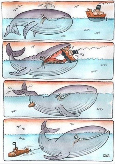 Daily Picdump